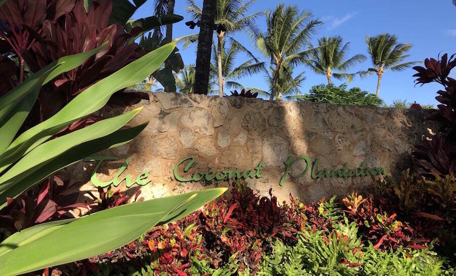 Ko Olina Coconut Plantation Airport Shuttle To and From Service