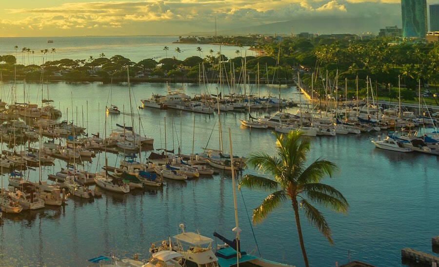 Prince Waikiki Airport Shuttle Best FlatRate