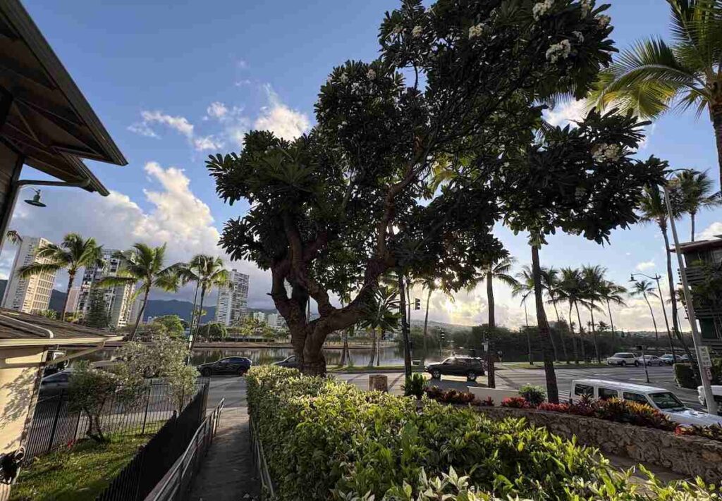 Coconut Waikiki Hotel Airport Shuttle